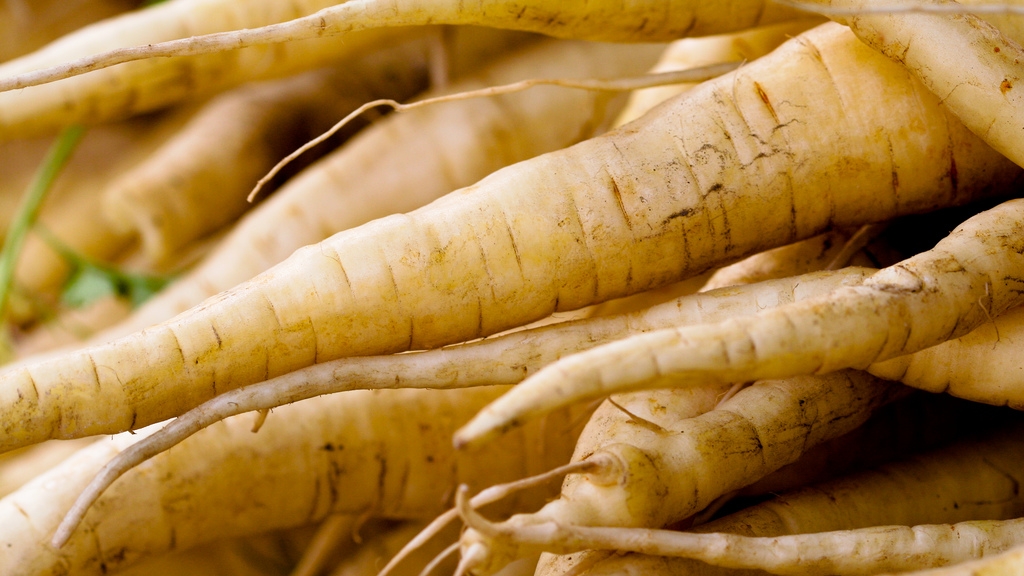 BETTBlog_Parsnip.jpg