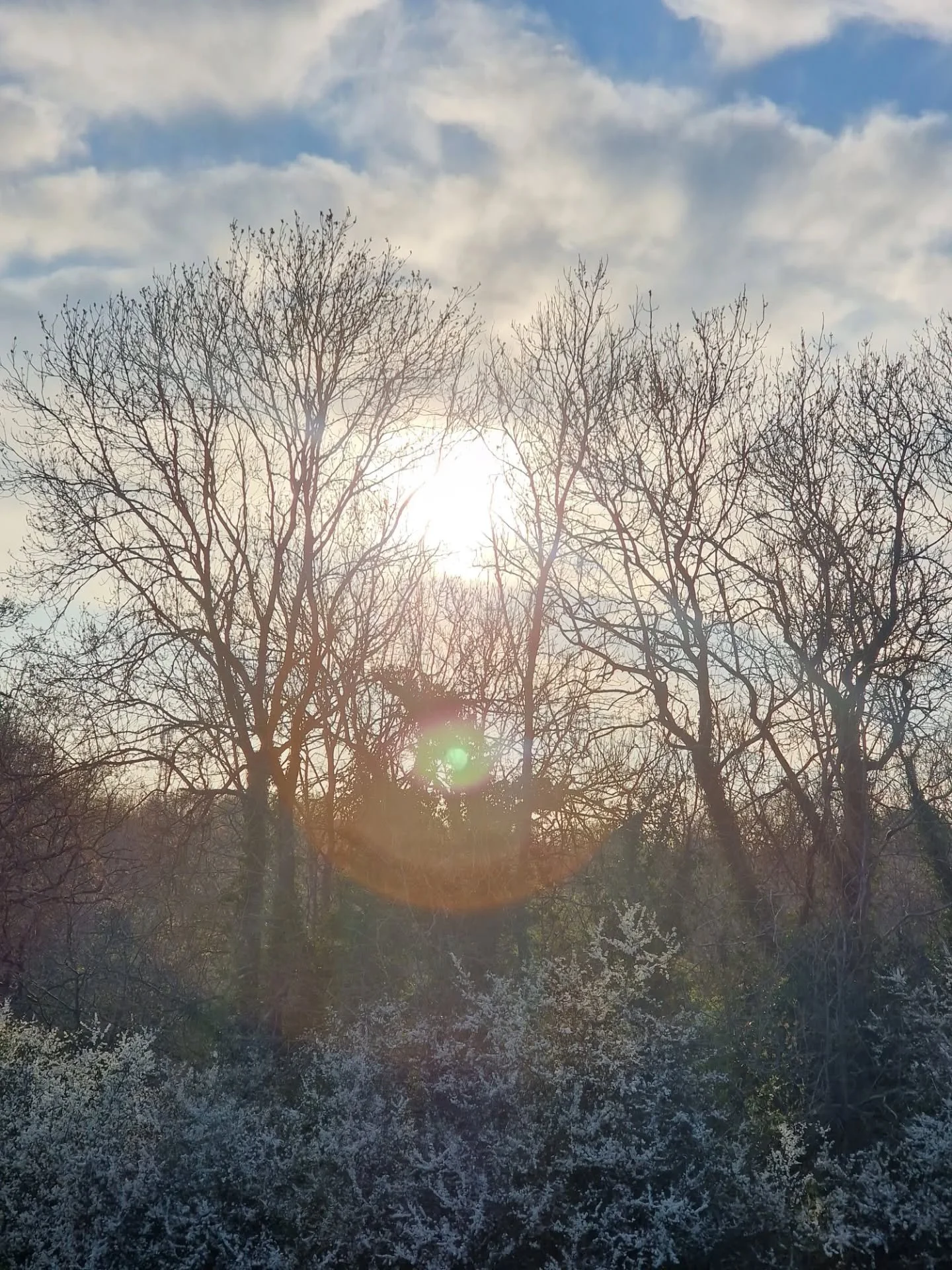 𓇘

APART FROM SHARING THE BEAUTY OF SPRING AWAKENING THROUGH OUR BELOVED HAMPSTEAD HEATH

WE HOPE THIS POST WILL INSPIRE YOU TO VISIT YOUR OWN ORGANIC SURROUNDINGS

FOREST BATHING IS AN ANCIENT PRACTICE

NATURE TRULY HEALS &amp; HEALING IS SOMETHING