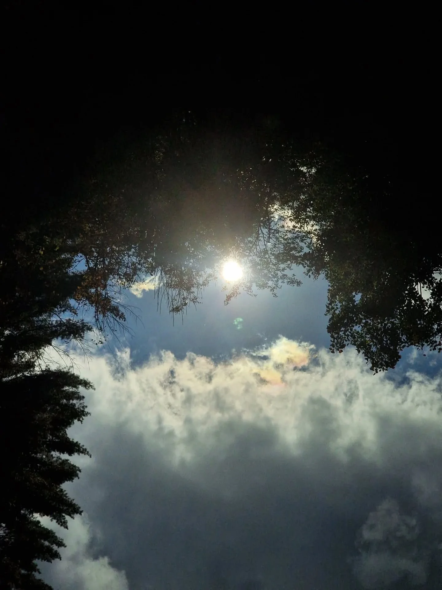 🍂

DURING AUTUMN, WE MOSTLY EXPRESS OUR GRATITUDE AND SAY GOODBYE TO WHAT NATURE HAS TO OFFER
WE DO STRUGGLE (A LOT) WITH THE COLD, BUT THE BEAUTIFUL COLORS AND STROLLS THROUGH NATURE WARM US UP FROM THE INSIDE OUT

WE HAD THE OPPORTUNITY TO EXPLORE