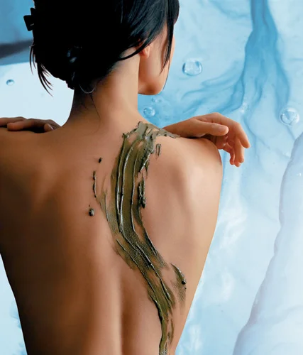 body_cover.jpg