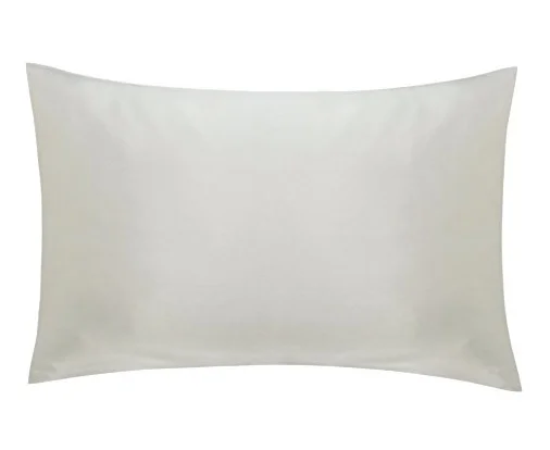 Not only does a silk pillow help with hair breakage and frizz it can also help your skin stay healthy and smooth! A win-win in my book! (Image via Amazon)