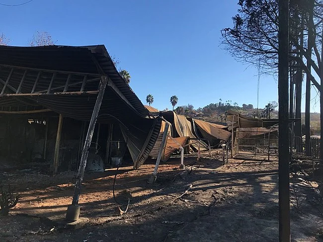 Photo via Bloodhorse.com all in all 9 barns wold be totally destroyed 
