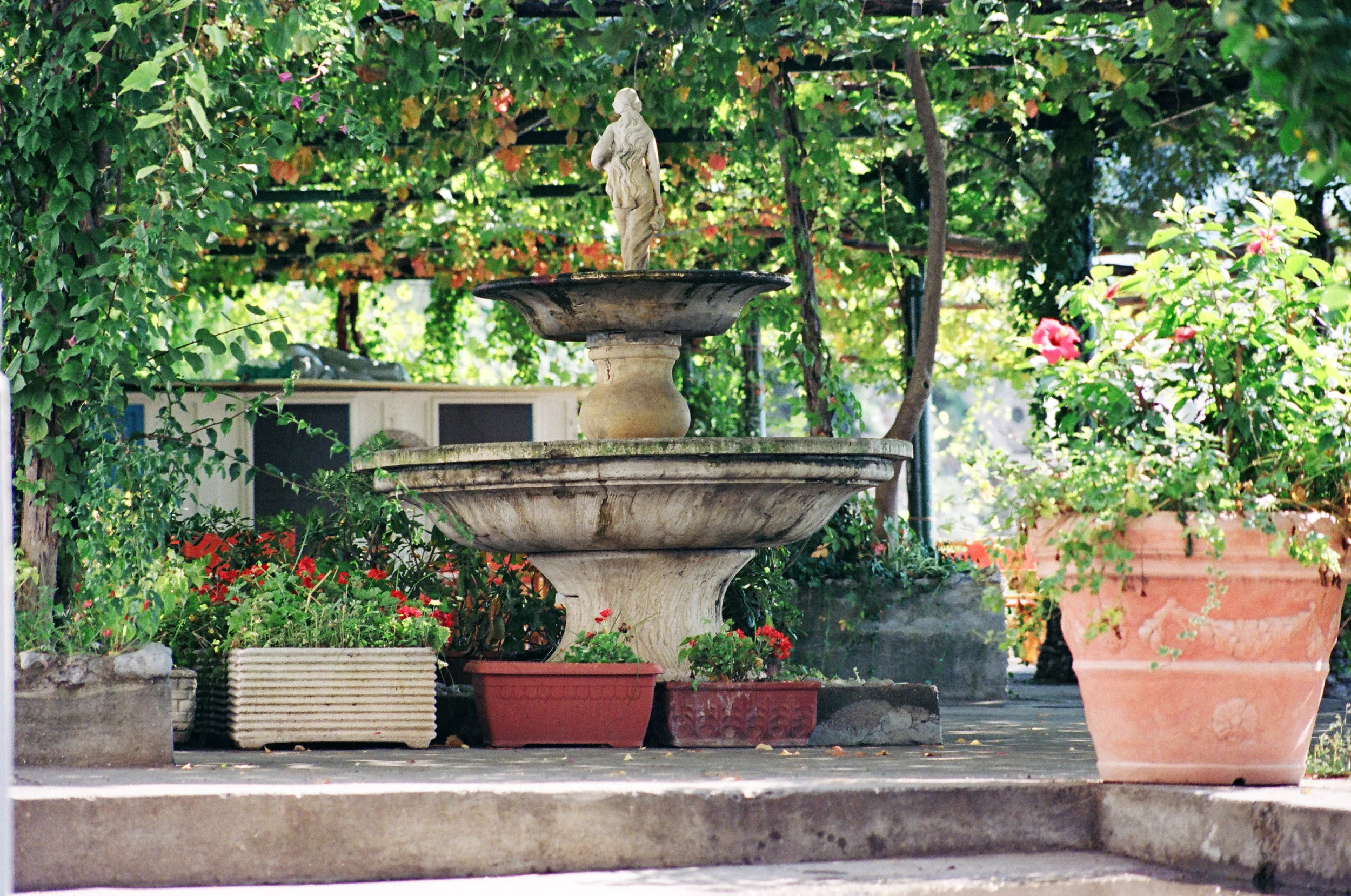 93350003small.jpg