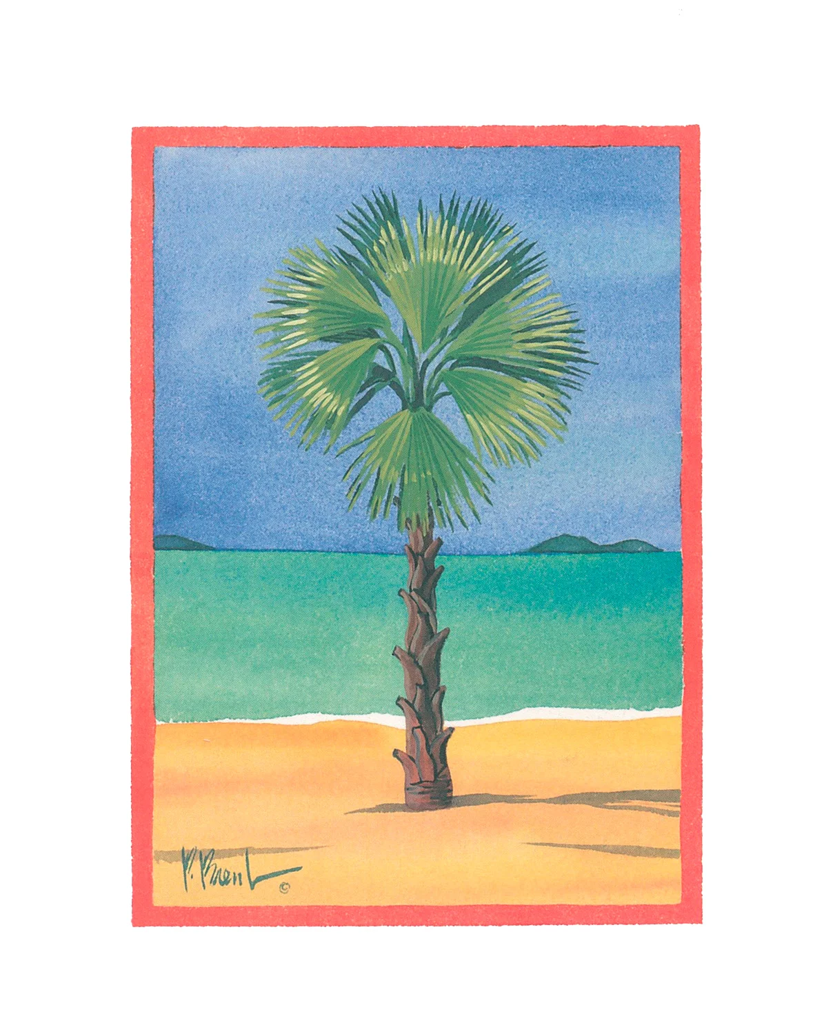 Palm-2.jpg