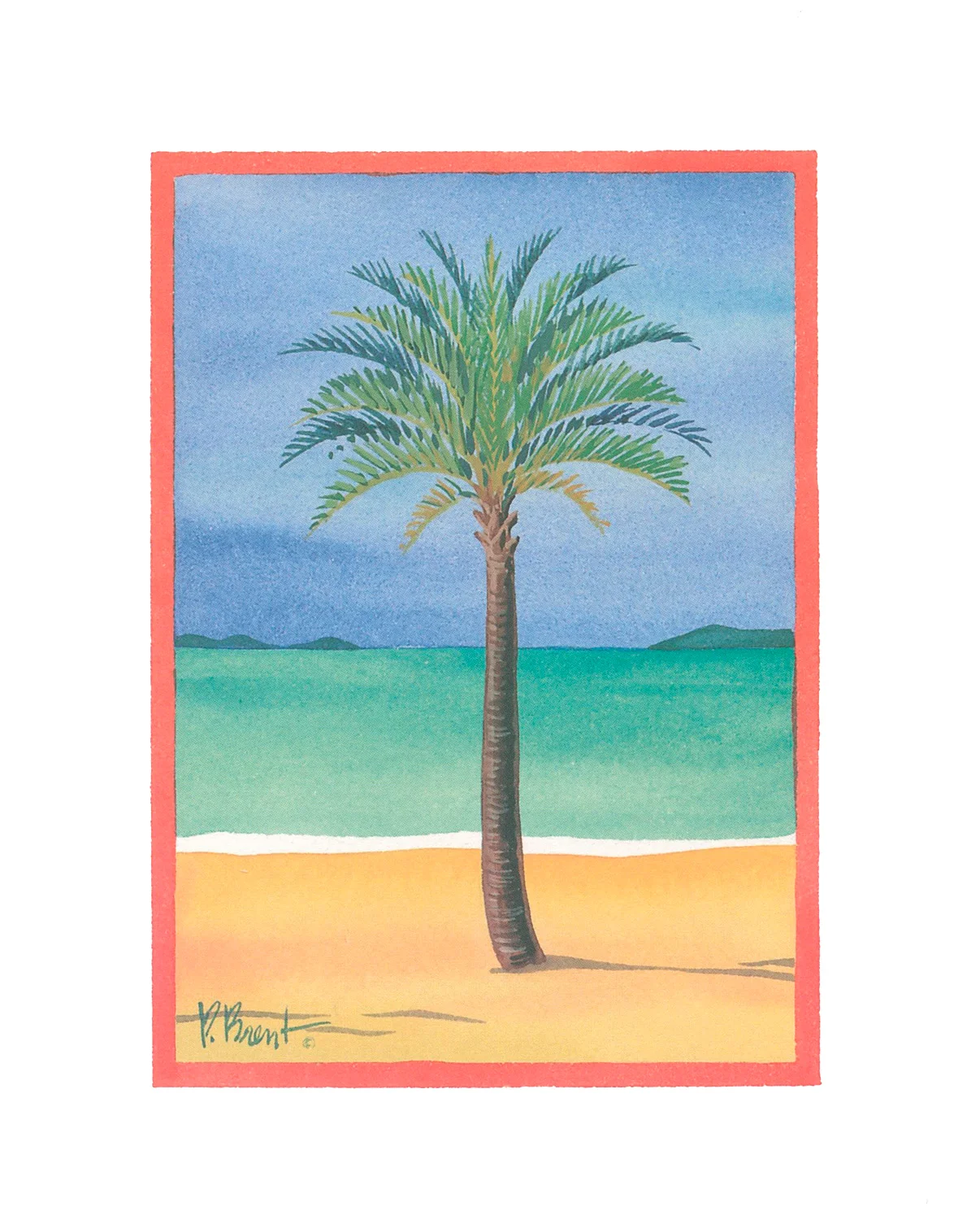 Palm-1.jpg