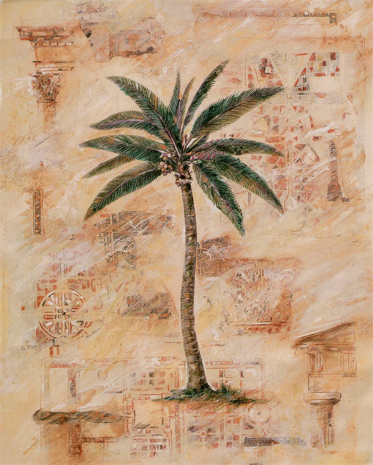 palm-4.jpg