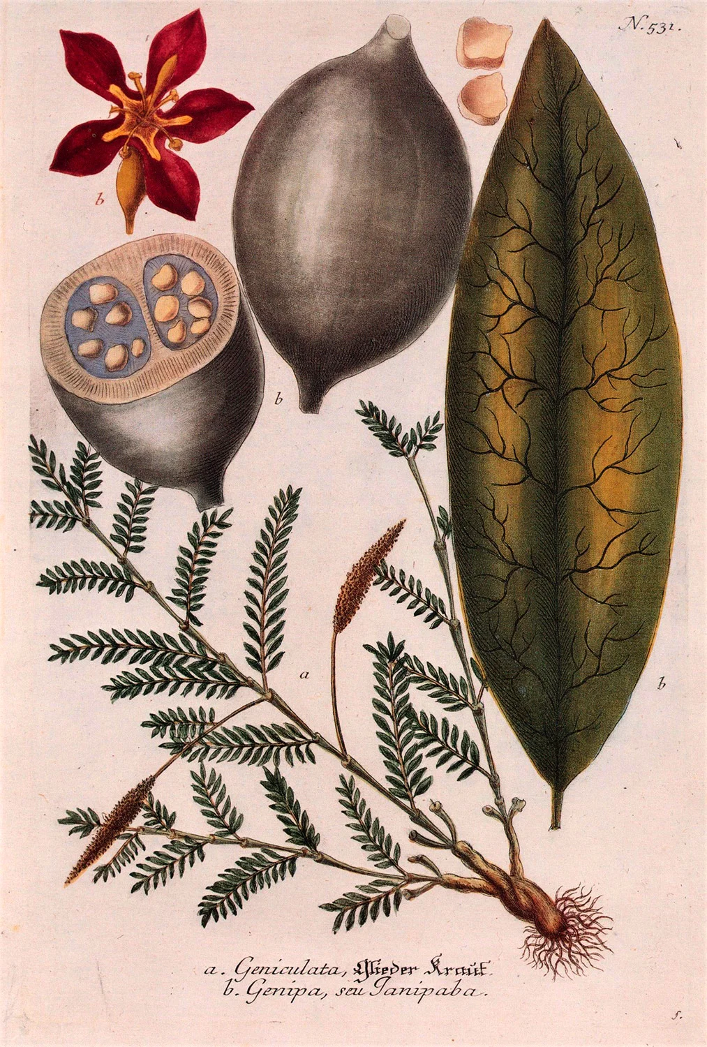 plant-7.jpg