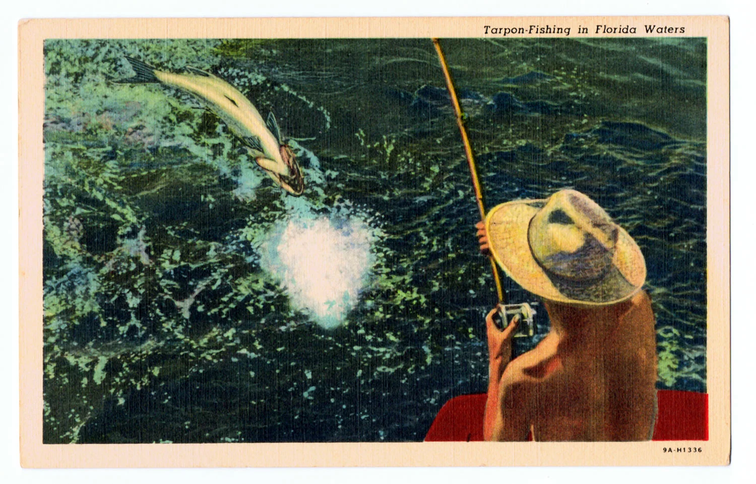 tarpon_fishing.jpg