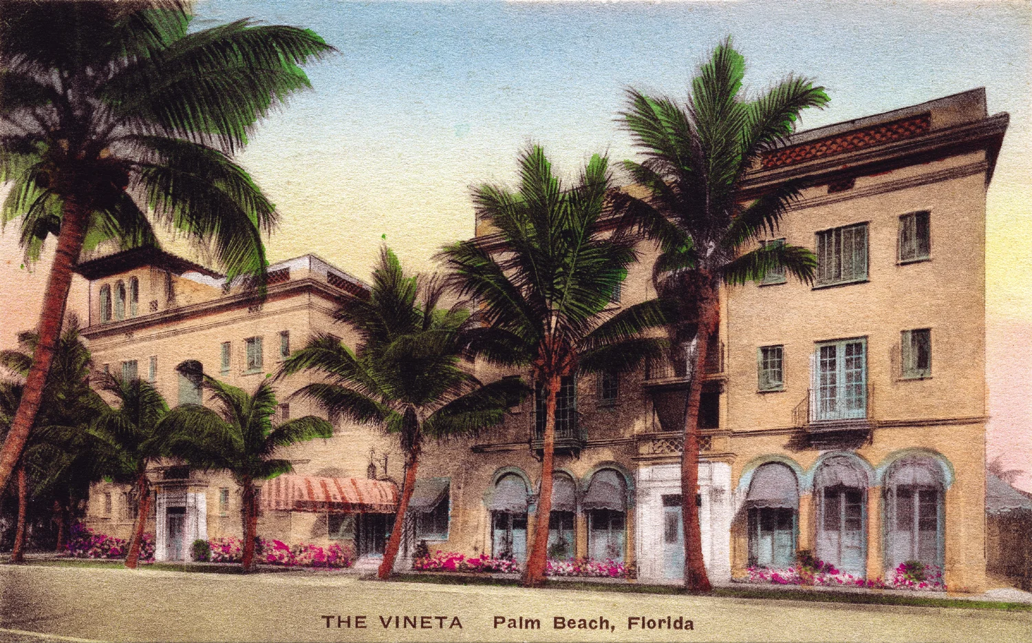 Vineta.jpg