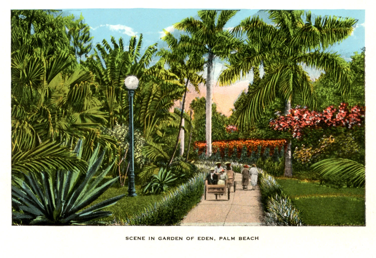 Scene-in-Garden-of-Eden,-Palm-Beach.jpg