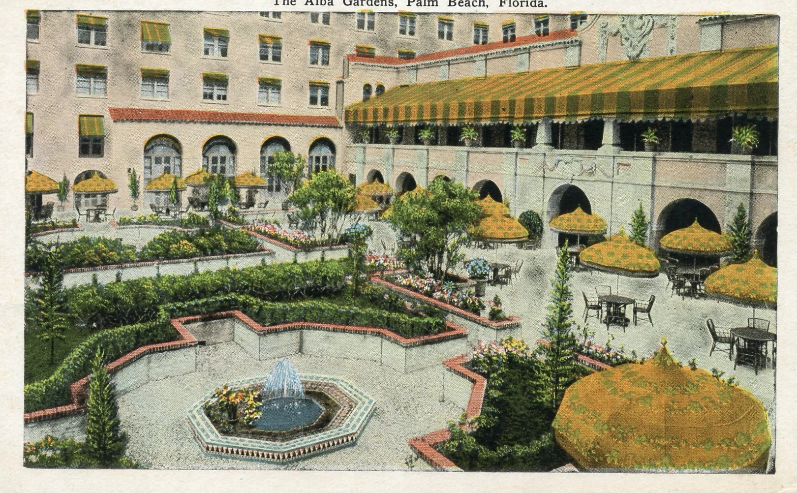 alba gardens.jpg