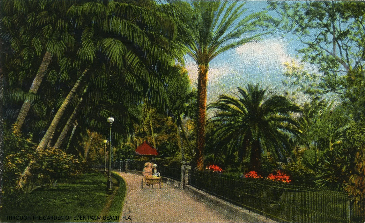 img341 copy.jpg