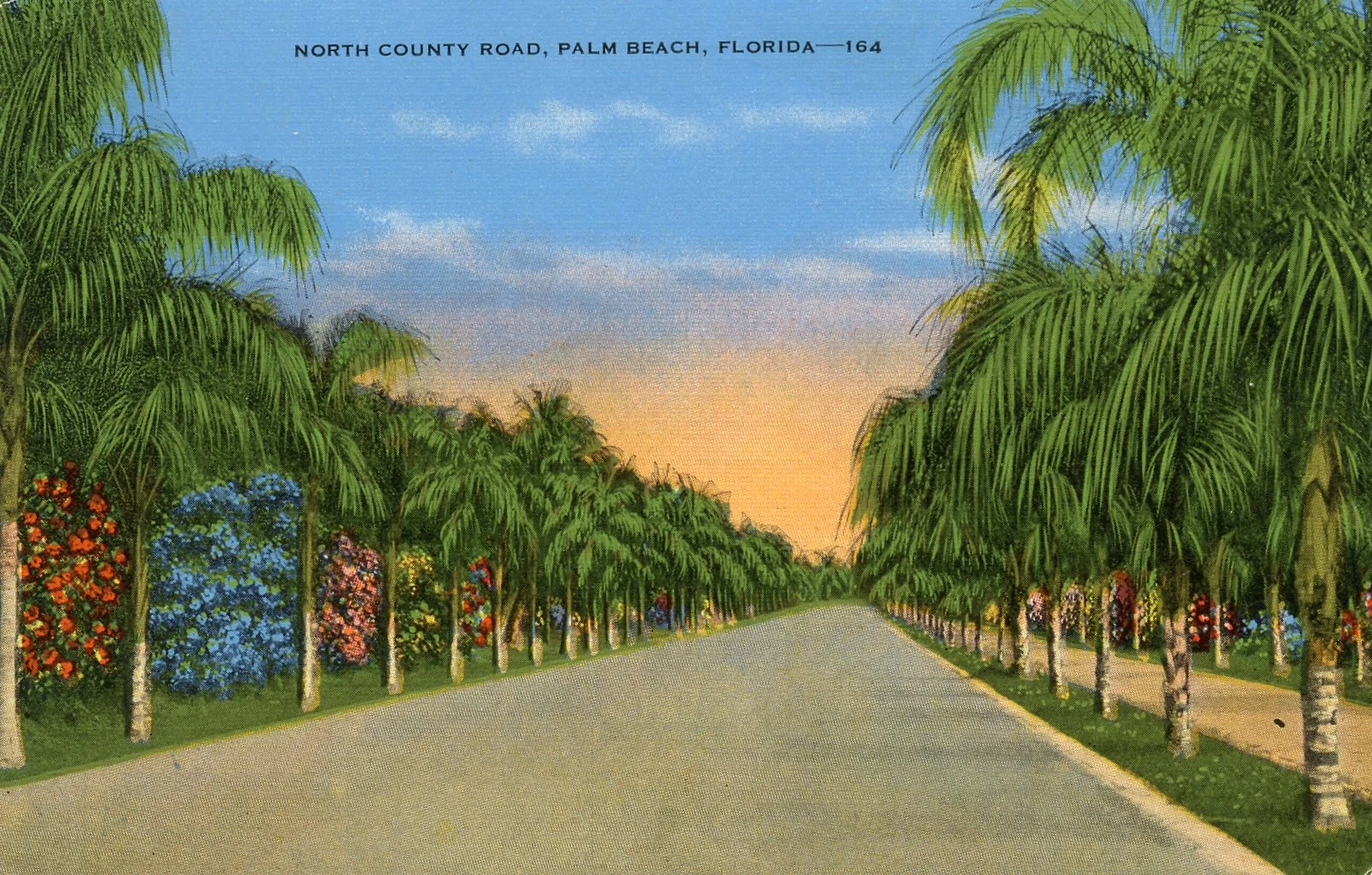 north cty road.jpg