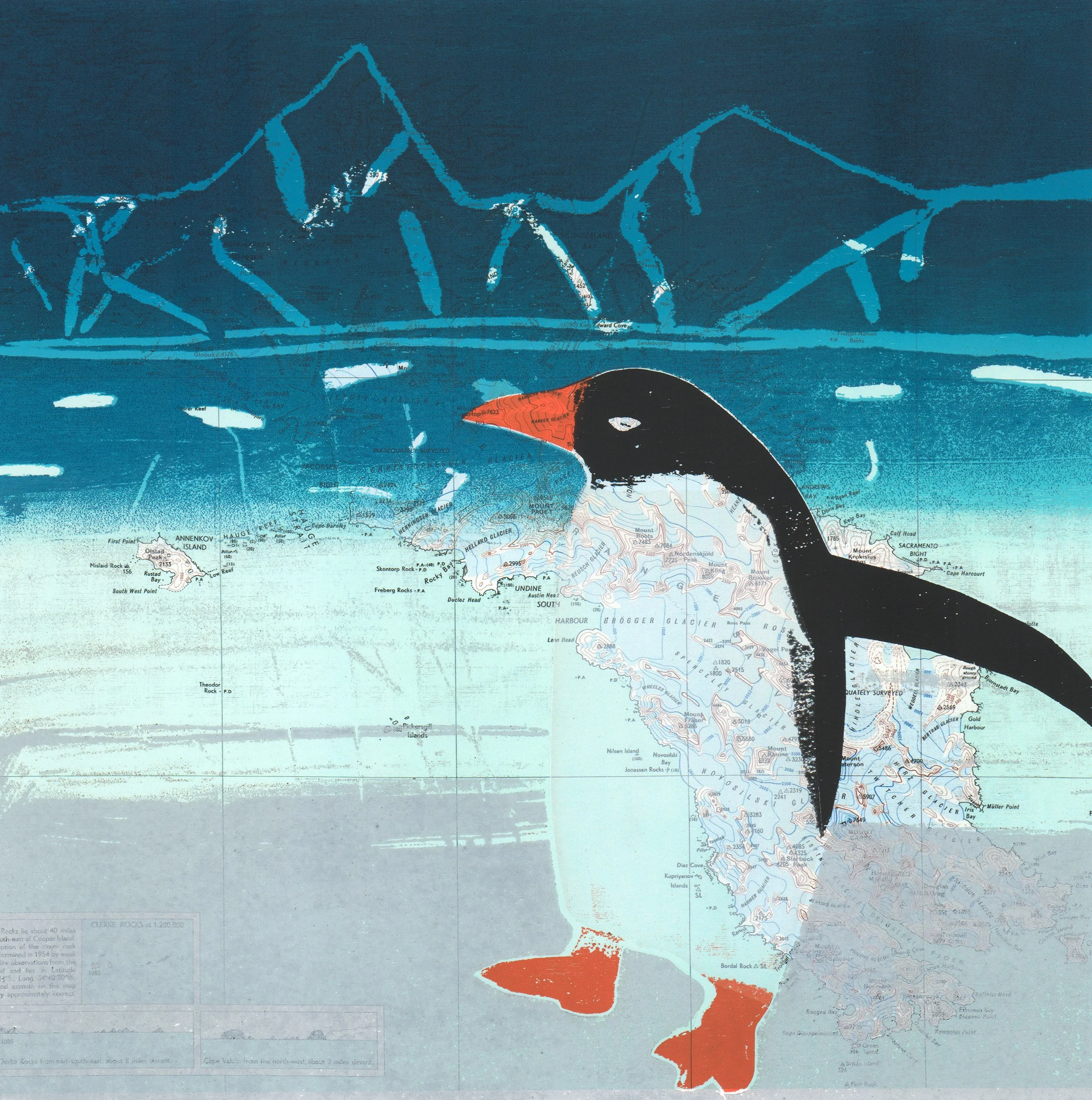 Gentoo - Neko Harbour.jpg
