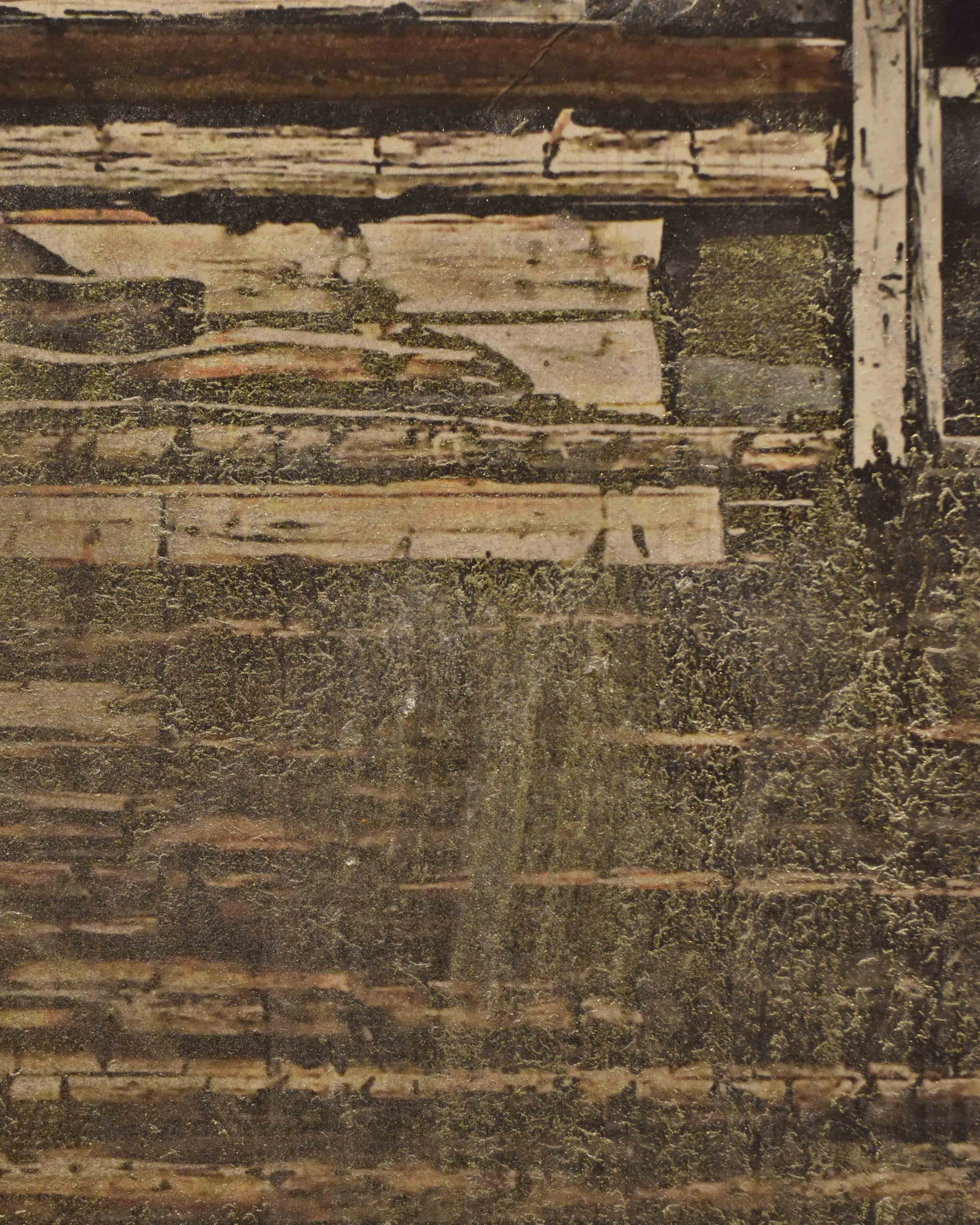 RSA 200 Annual - Small Painting - Close up 2 - Low Res.jpg