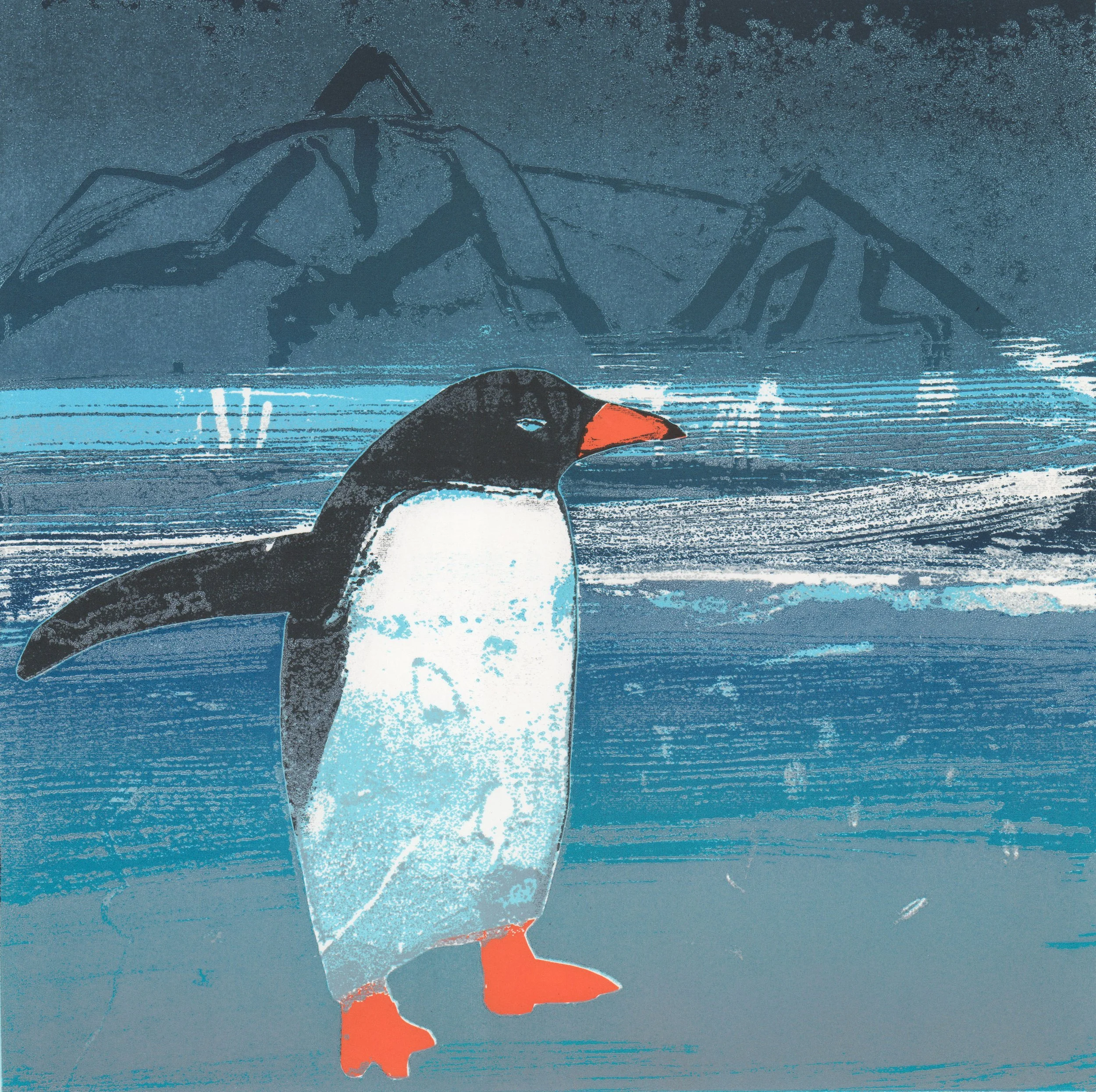 Gentoo - Gerlache.jpg