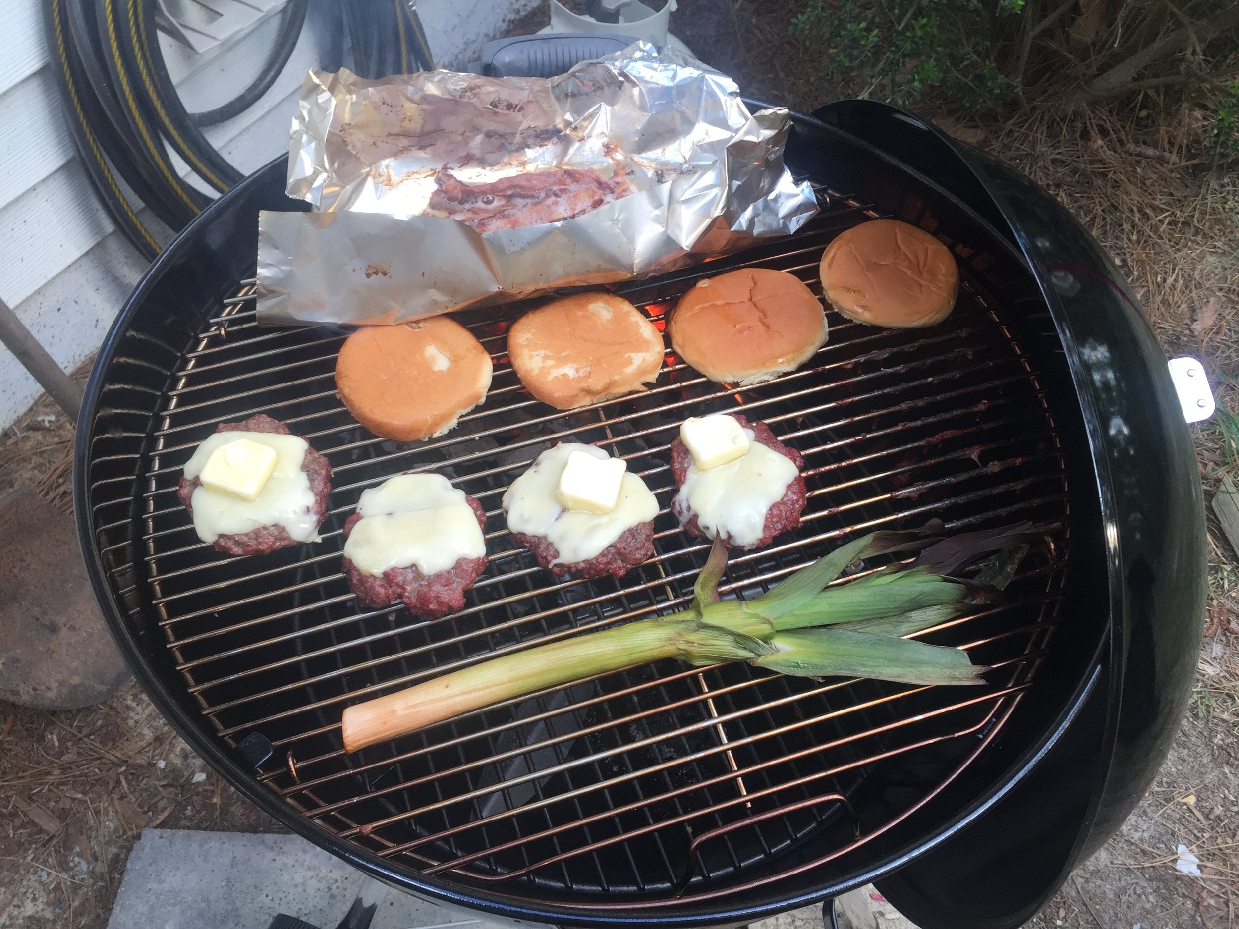 First Cook on New Weber