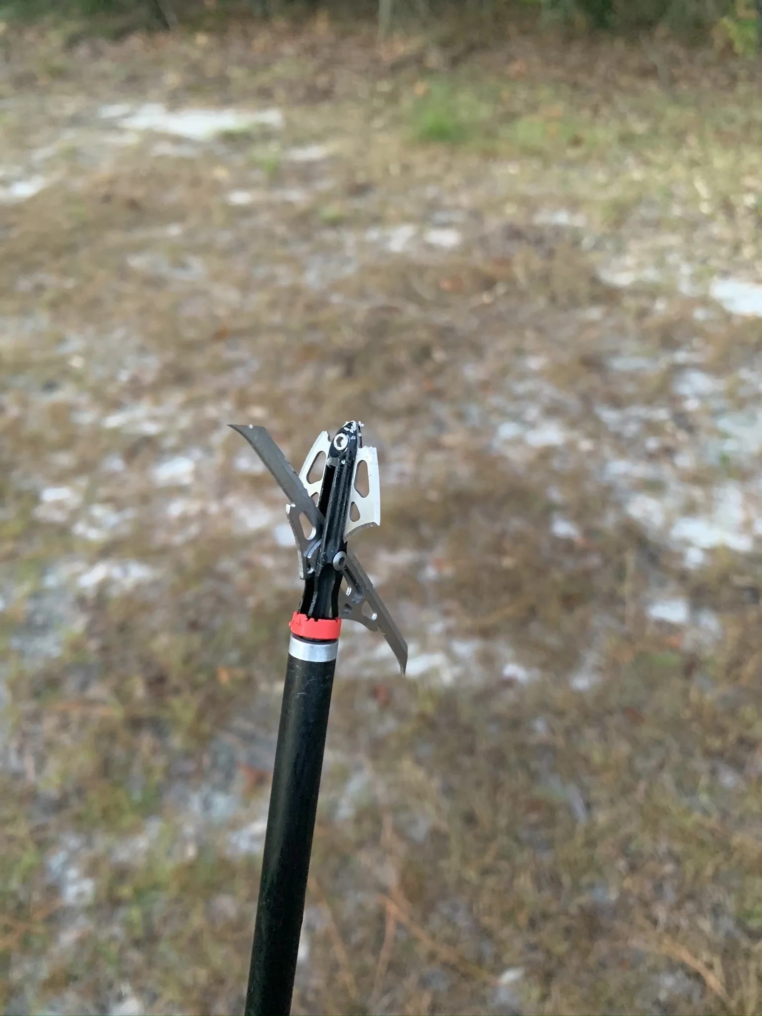 My first morning on the ranch