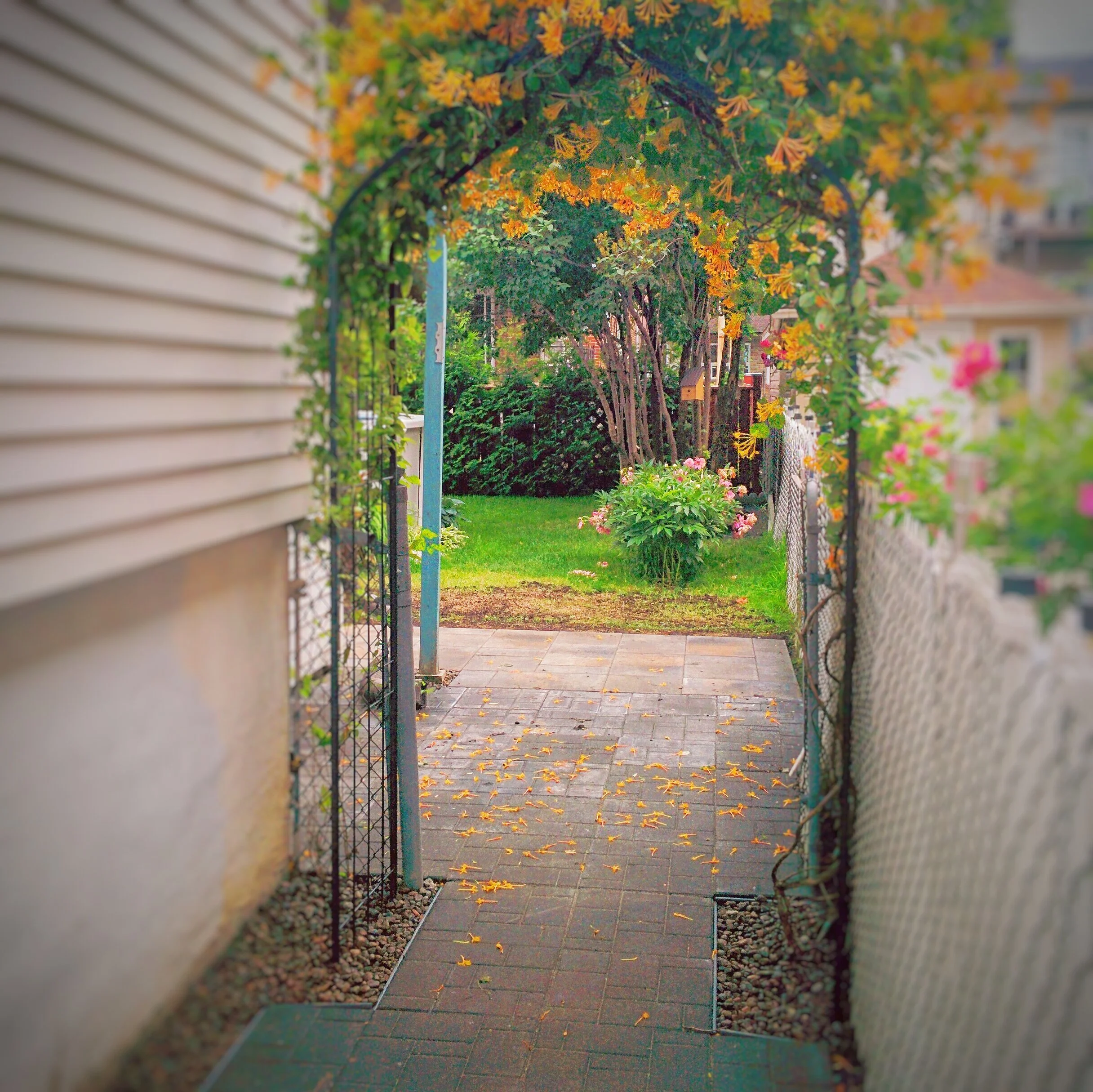Trottoir