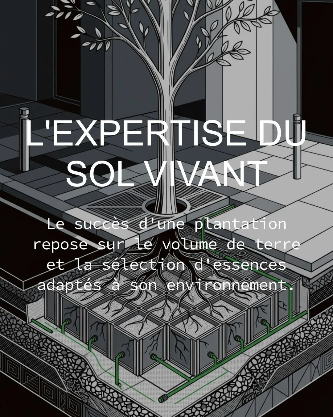 Planter en ville devrait &ecirc;tre per&ccedil;u comme un investissement. Garantir la survie de cet investissement est une expertise.

Trop souvent, le patrimoine arbor&eacute; urbain d&eacute;p&eacute;rit pr&eacute;matur&eacute;ment faute d'une conc