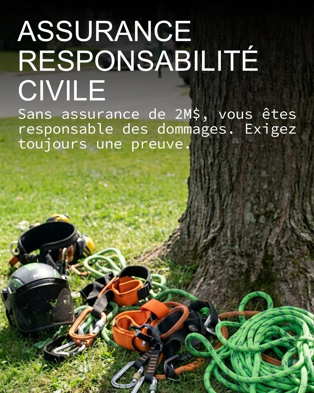 Engager un &eacute;lagueur sans v&eacute;rifier ses assurances, c&rsquo;est parier votre maison sur la chance. Si une branche s'&eacute;crase sur votre toit ou qu'un gars se blesse chez vous, la facture tombe directement dans votre cour. 

Ne vous fi