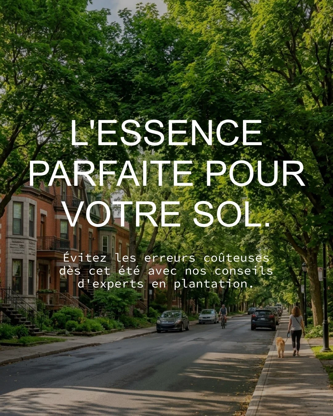 Planter un arbre est une excellente id&eacute;e. 

Mais mettre un ch&ecirc;ne sous des fils &eacute;lectriques ou un &eacute;rable argent&eacute; pr&egrave;s de vos fondations est le meilleur moyen de regretter votre choix dans vingt ans.
Nous pouvon