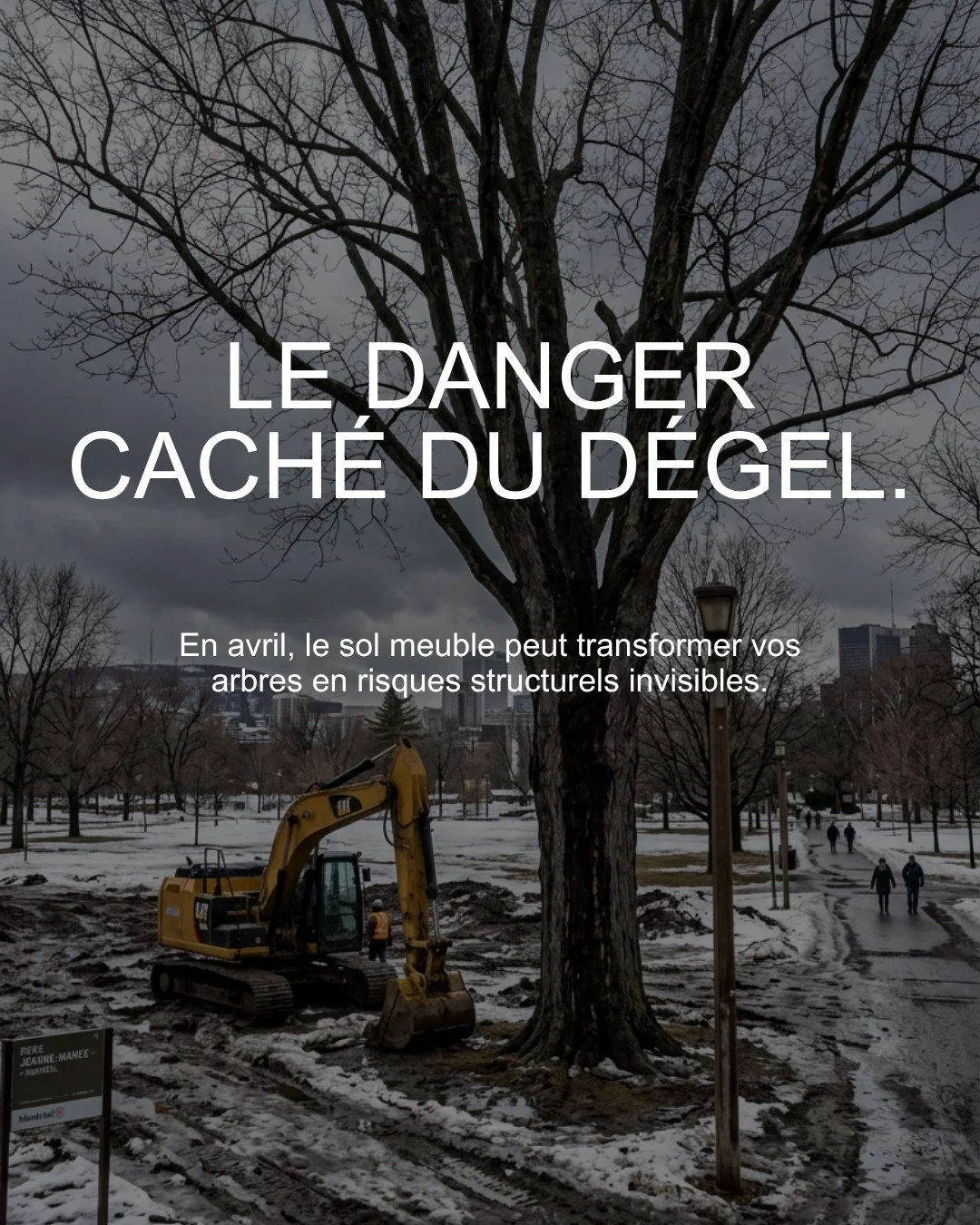 Avril est le mois le plus tra&icirc;tre pour vos arbres.

Le sol est satur&eacute; d'eau et perd toute sa structure. C'est &agrave; ce moment-l&agrave; qu'il est le plus fragile. Rouler avec une excavatrice pr&egrave;s d'un tronc en ce moment, &ccedi