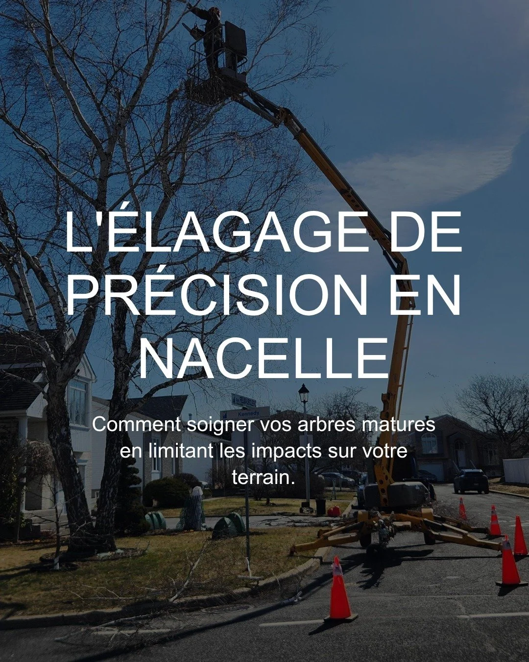 Un arbre mature est un actif pr&eacute;cieux pour votre terrain et votre maison. 

Mal l'entretenir co&ucirc;te cher &agrave; long terme.L'&eacute;lagage de pr&eacute;cision demande les bons outils. On utilise souvent une nacelle ou les cordes pour a