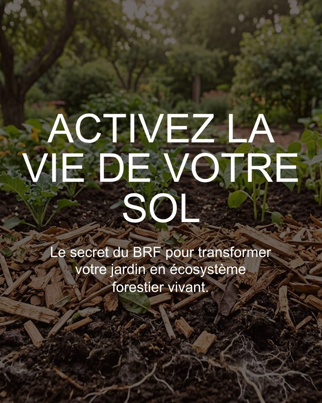 En ce jour de la terre, voici une bonne fa&ccedil;on de r&eacute;utiliser les r&eacute;sidus de d&eacute;chiquetage de branches.

Besoin de BRF, pour votre projet ?
https://linktr.ee/arborivert 

#jourdelaterre #economiecirculaire #brf #paillisdebois