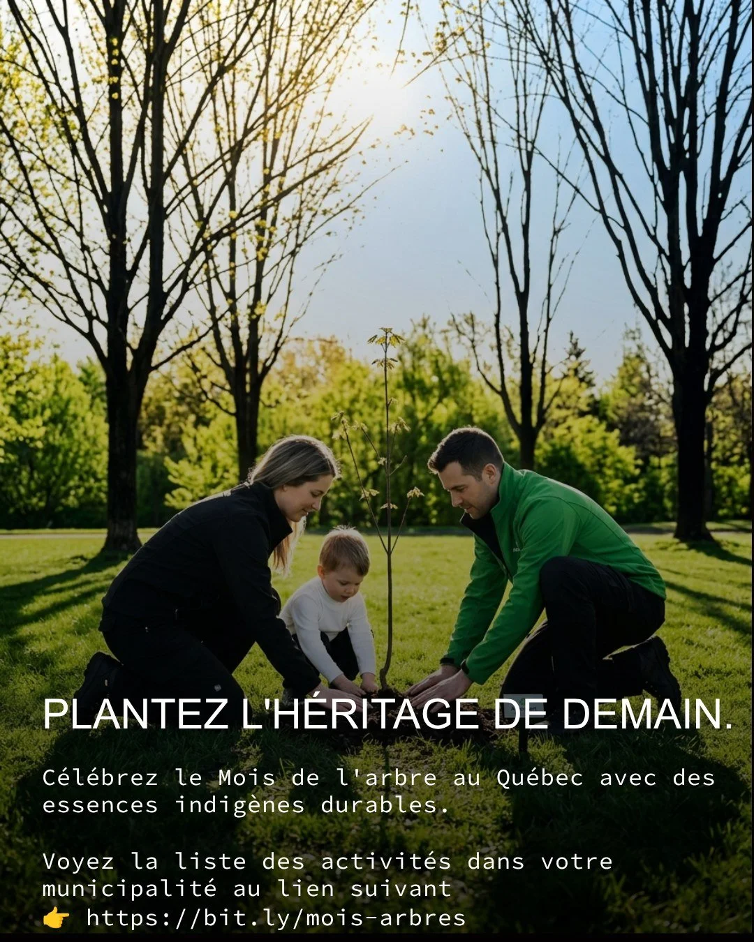 #MoisDeArbre #Mai #Activite #Plantation #DonArbres