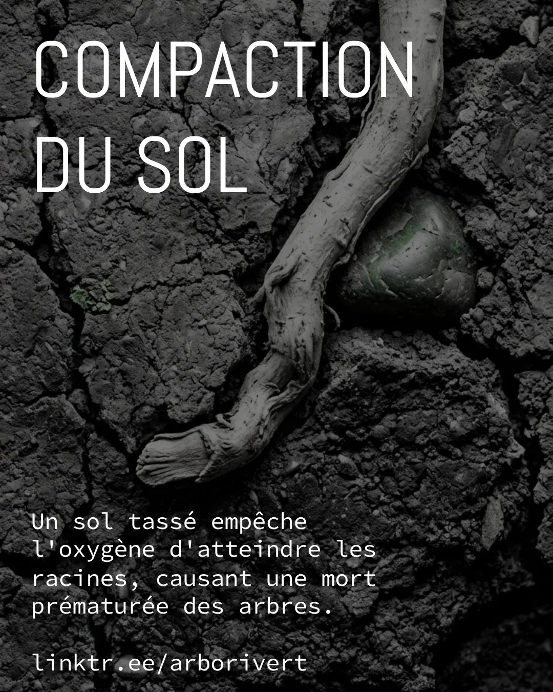 #racine #arbo #arboriculture #compaction #sol #oxygene #urbain #solcompact