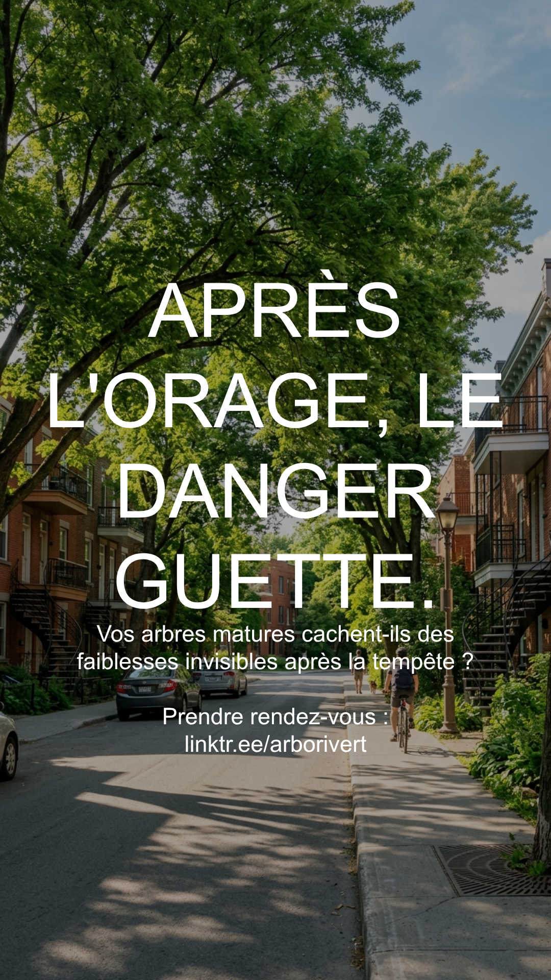 L'impact des événements météorologiques extrêmes sur les arbres : prévention et résilience
