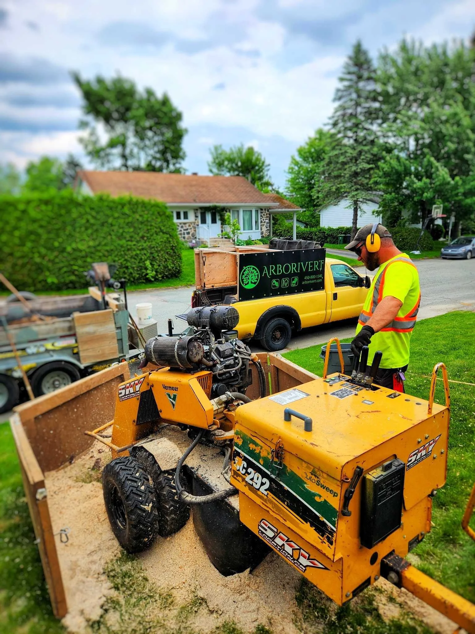 En 5 points, pourquoi faire essoucher un arbre après l’abattage ?