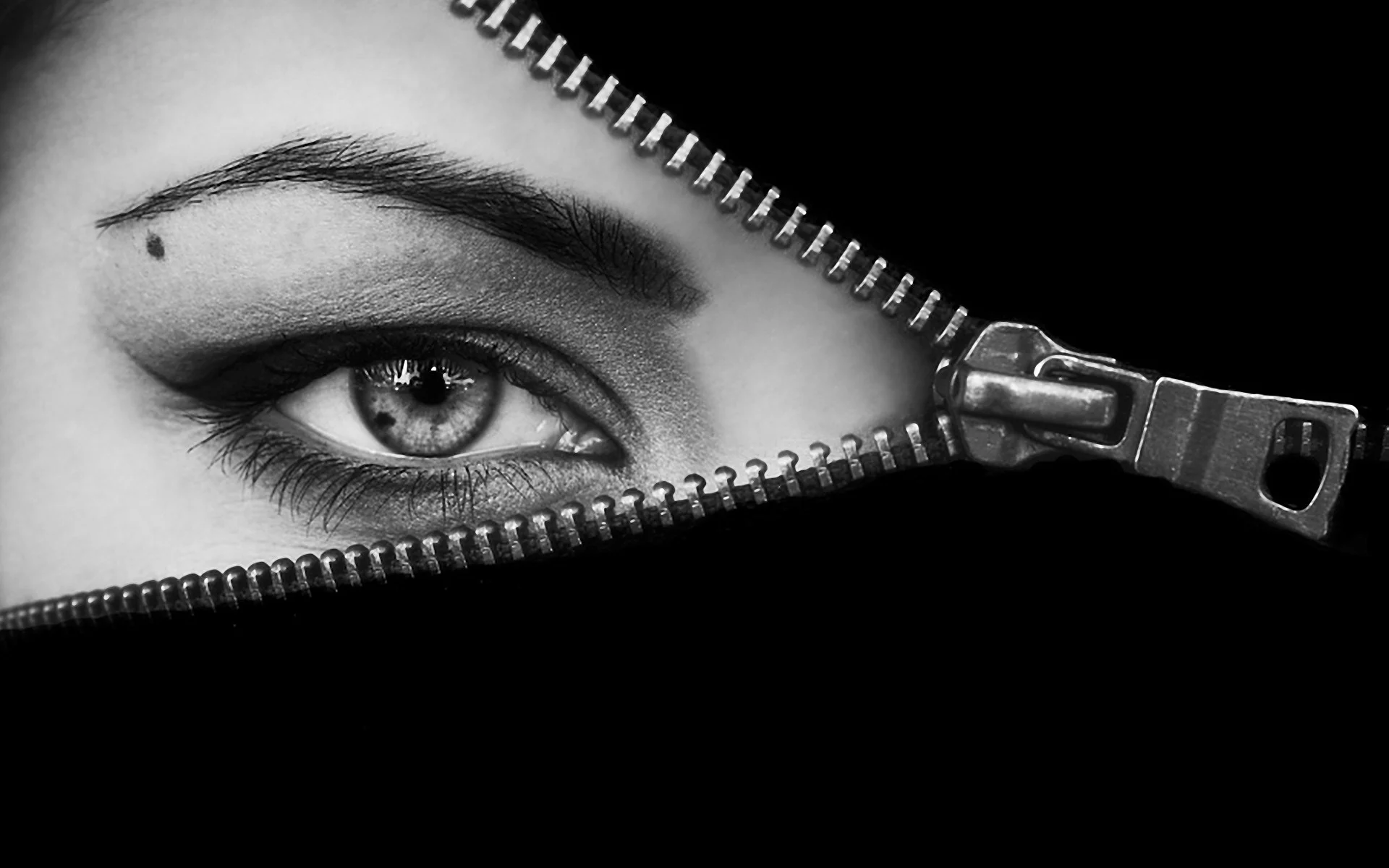 the-hidden-beauty-65030.jpg