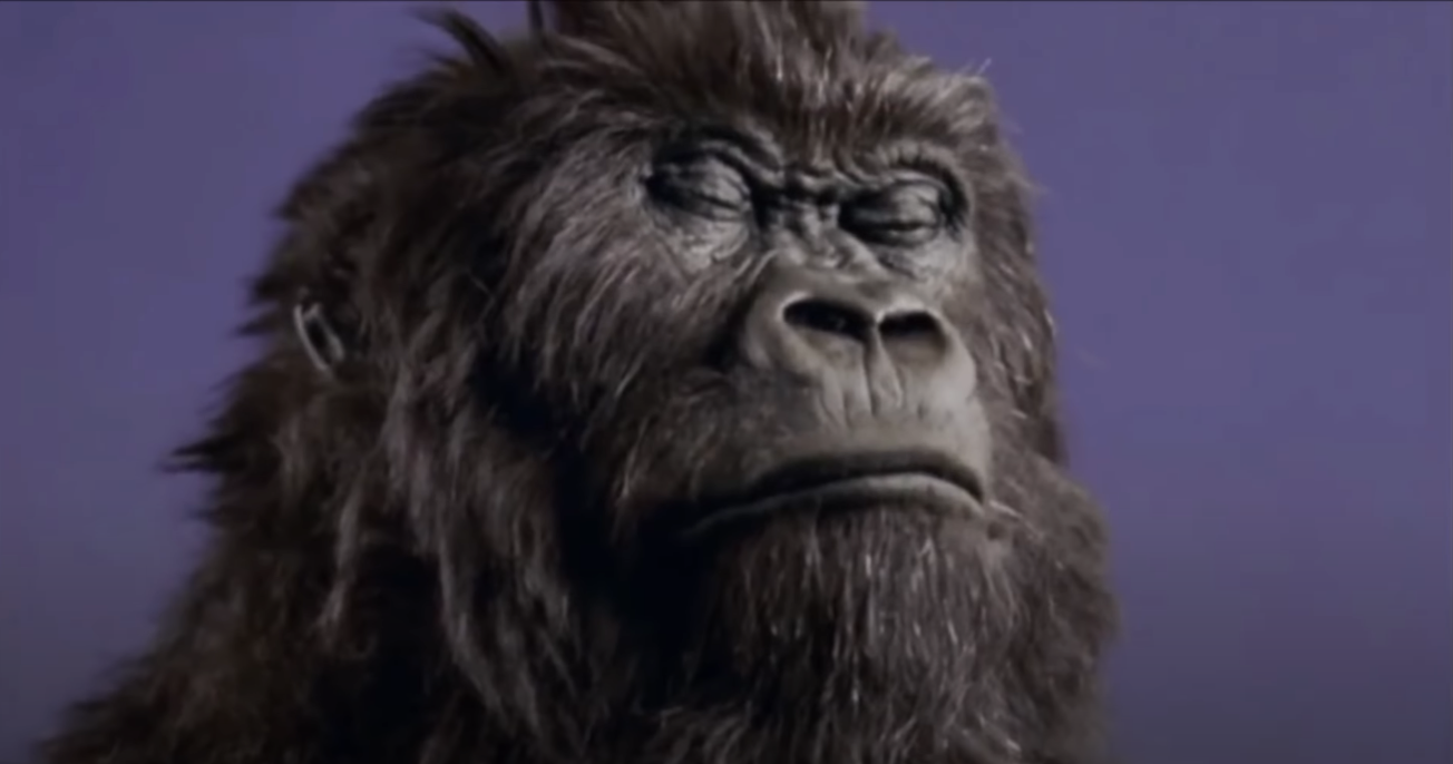 Cadbury Gorilla