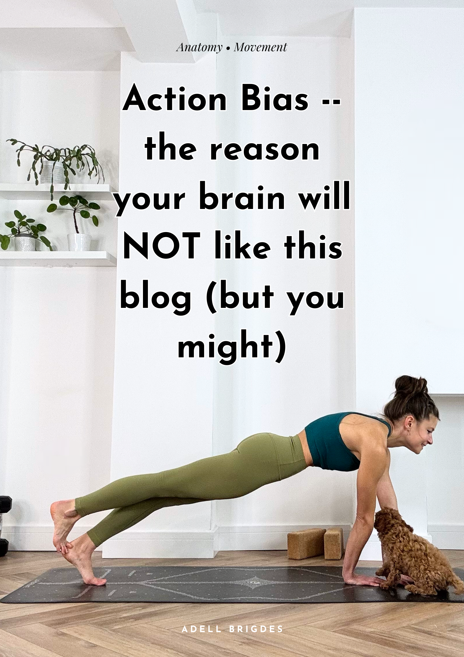 Action Bias -- the reason your brain will NOT like this blog (but you might)