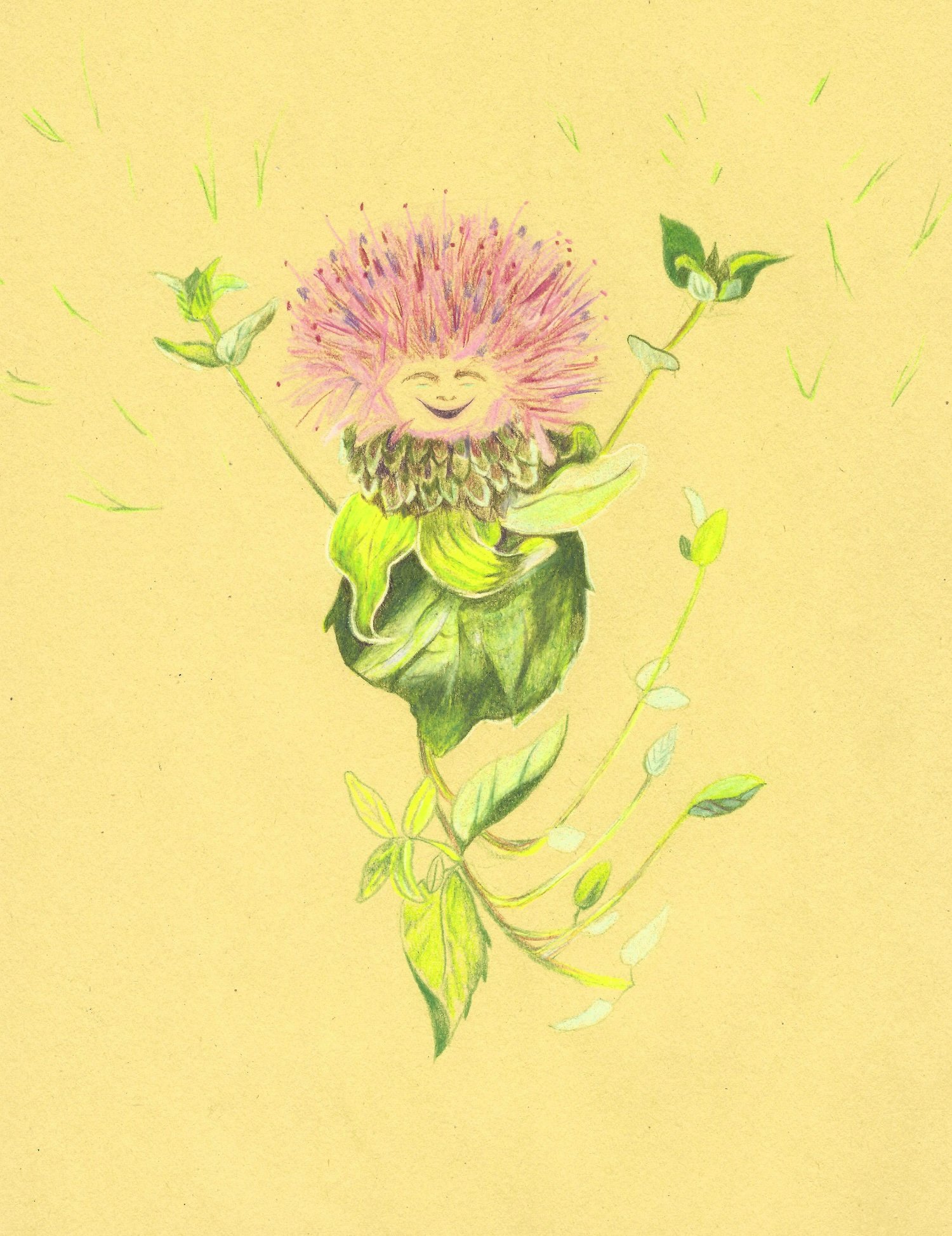afthayer_flowerbaby_thistle_1500.jpg