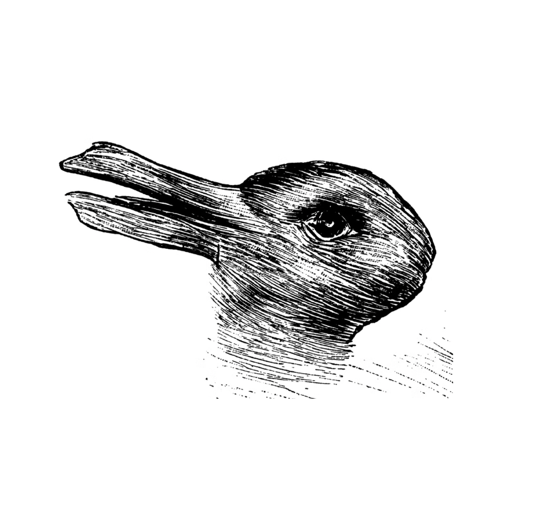 What Do You See? (and What It Means for Your Creativity)
