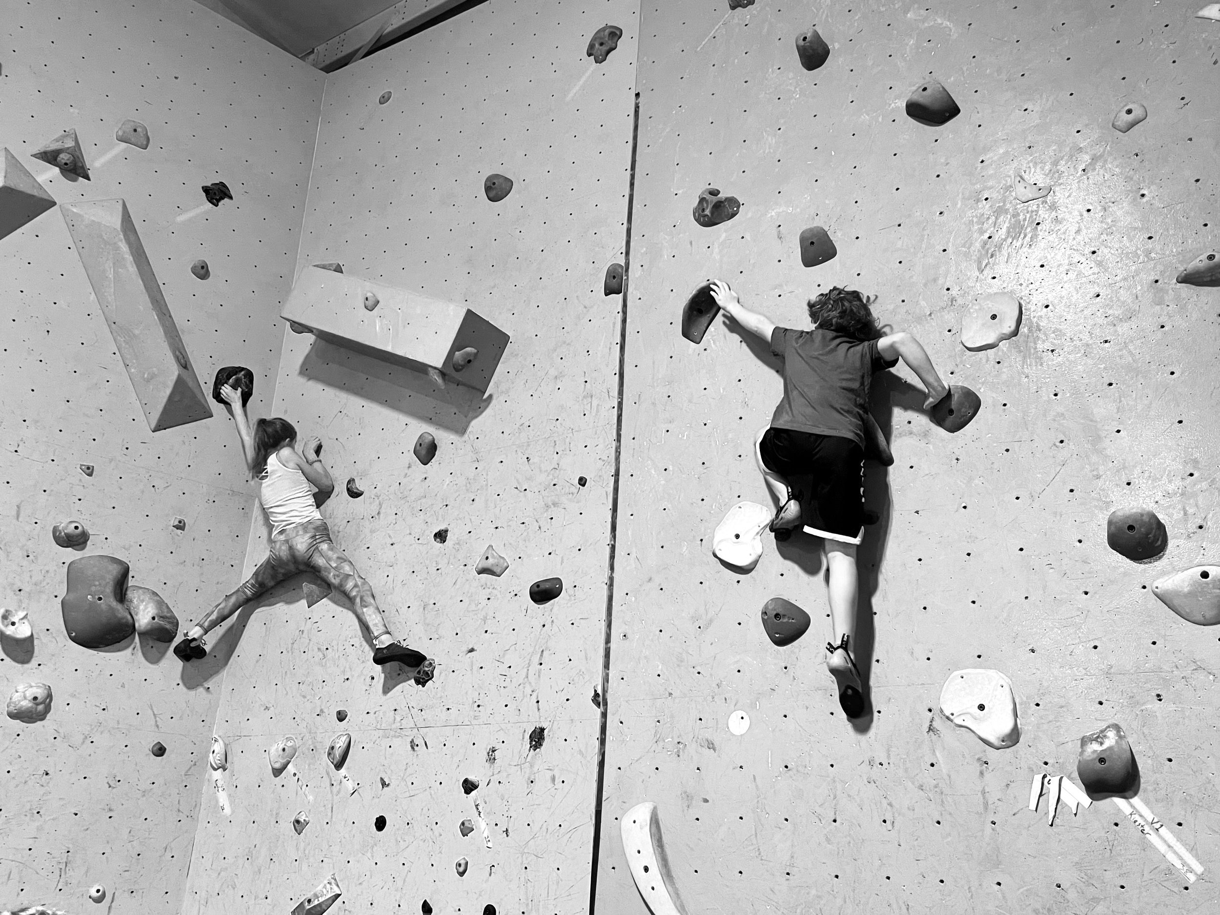 Competitive Team — Active Climbing Augusta