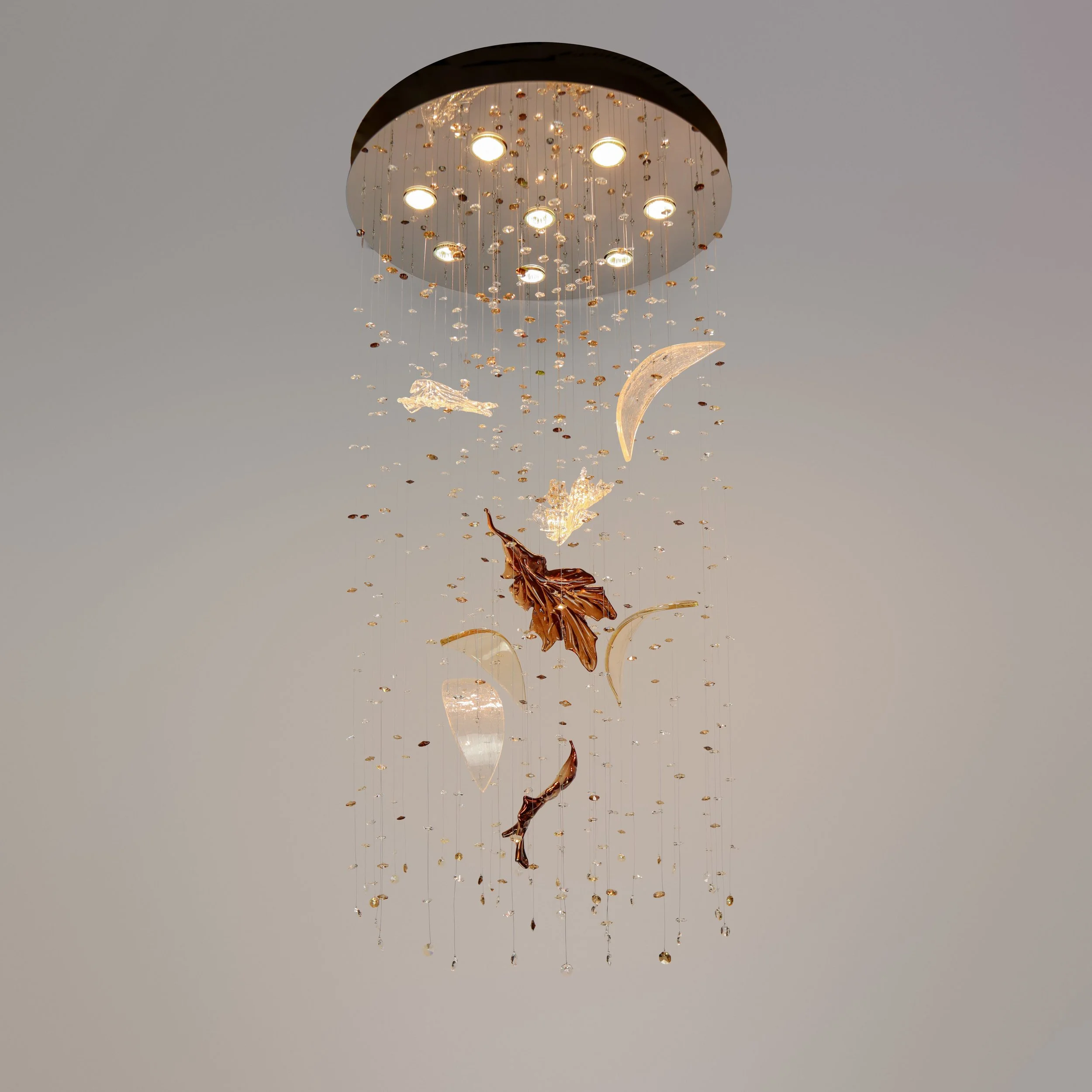 November Light Composition