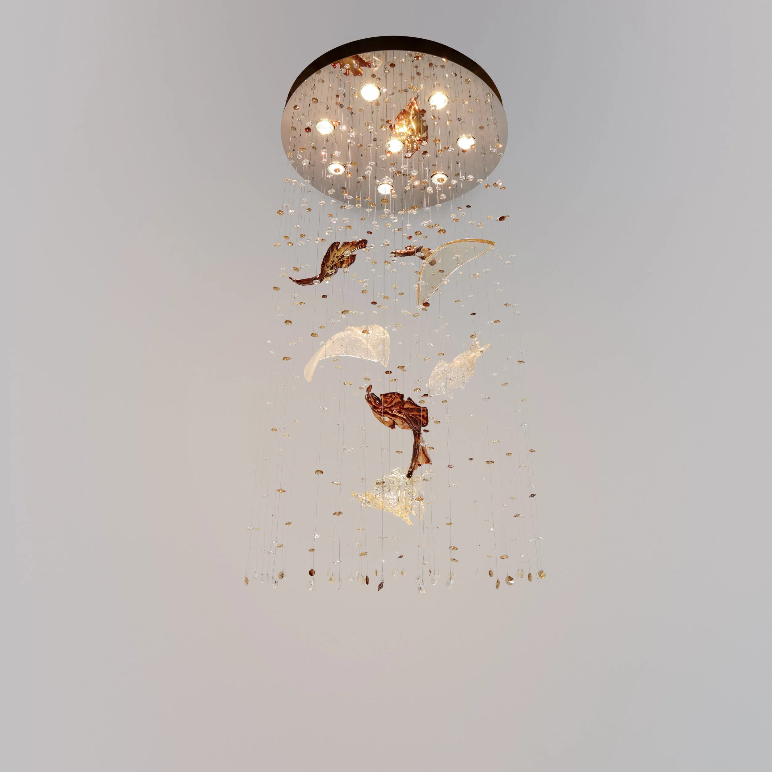 November Light Composition