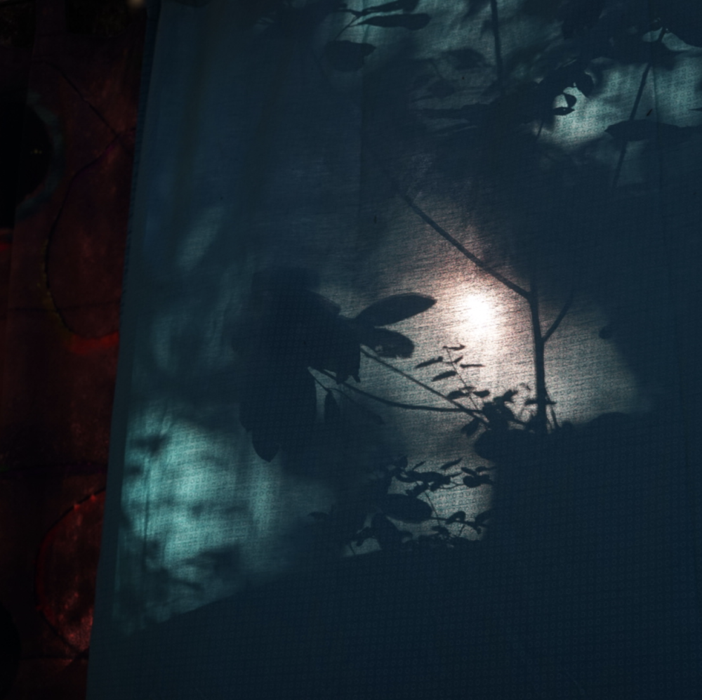 Screen+Shot+2018-03-07+at+2.21.30+PM.png
