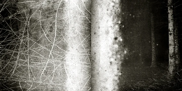 Kirtan.Diptych.Destroyed.Film.web.jpg