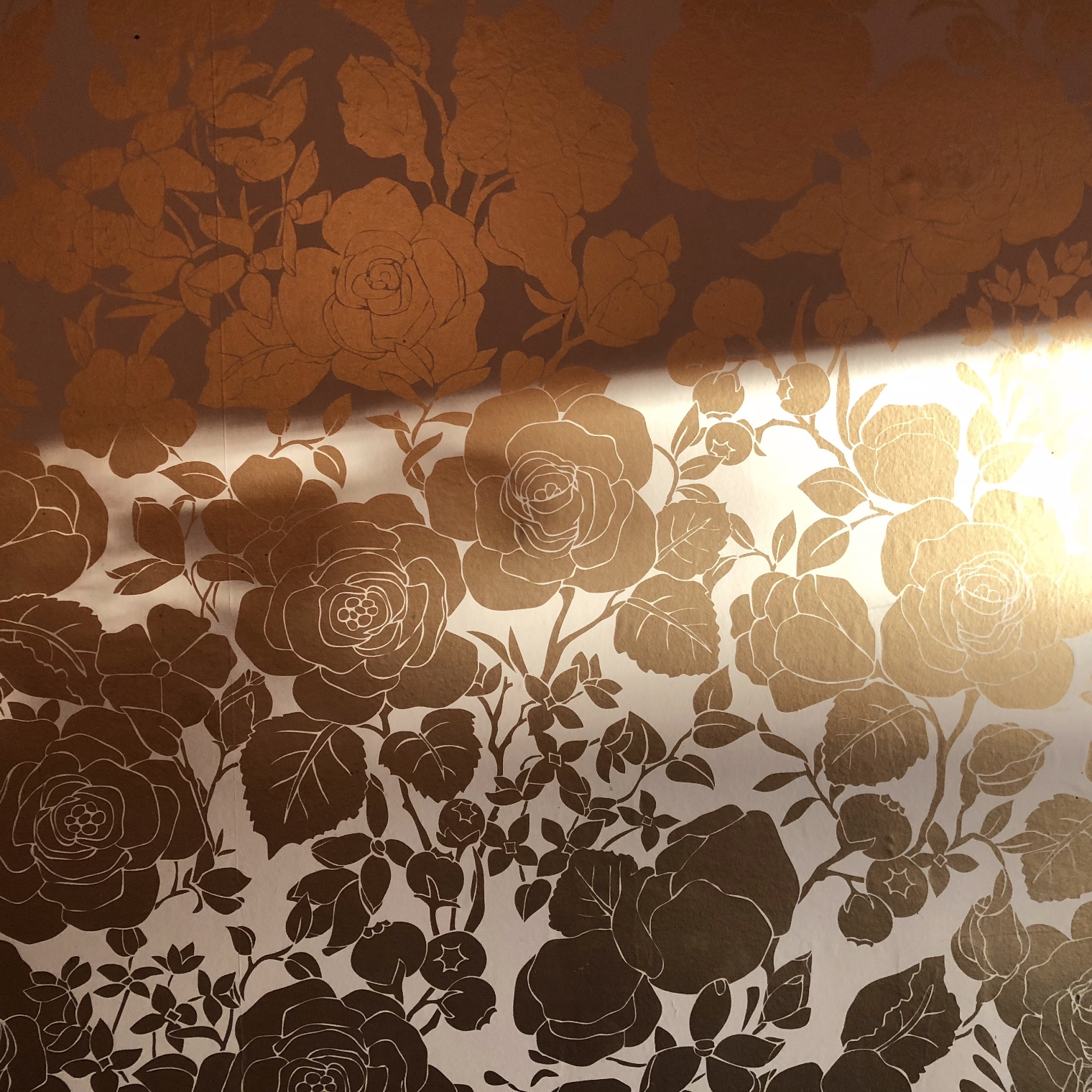 Screen Shot 2019-02-28 at 11.06.43 AM.png