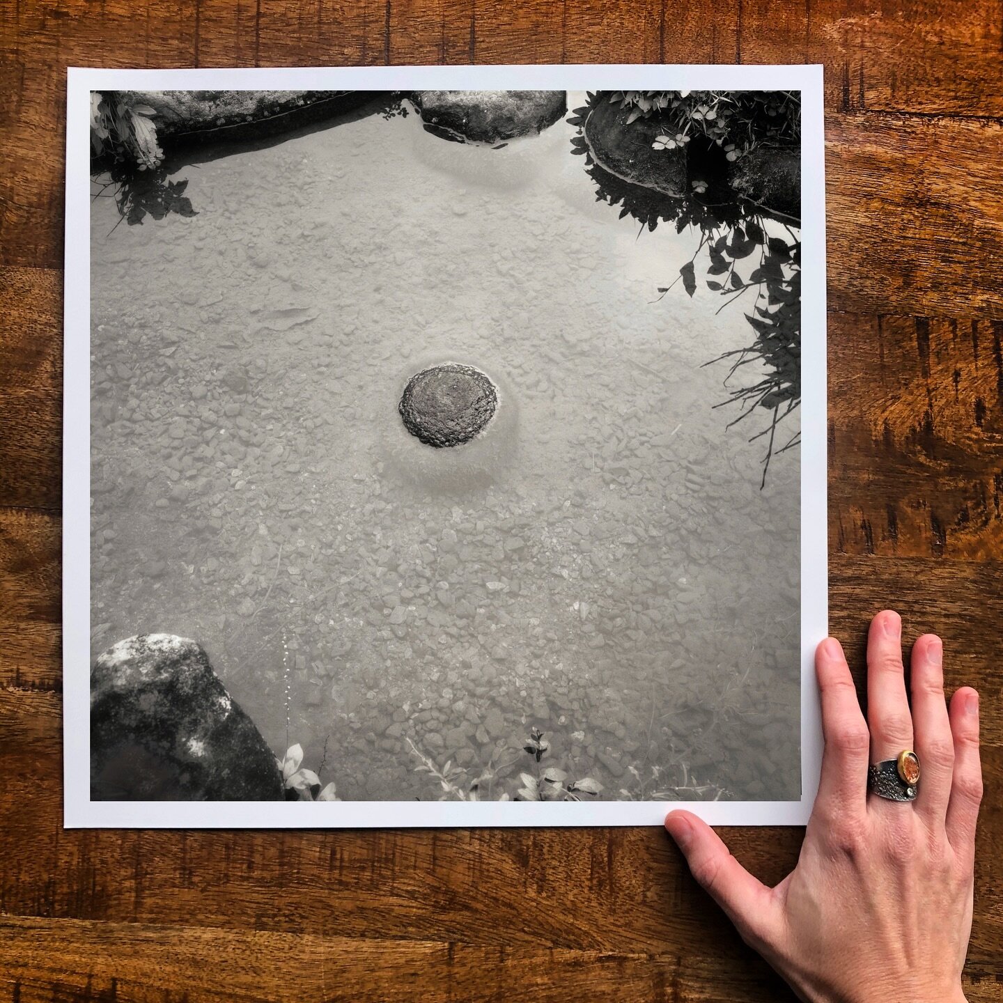 A lovely stone in the middle of a pond, somewhere in Japan. It&rsquo;s probably there right now, just doing its peaceful little thing. This image feels like a reminder to return to center, to ground out, to rest. Or maybe it&rsquo;s a reminder to tak