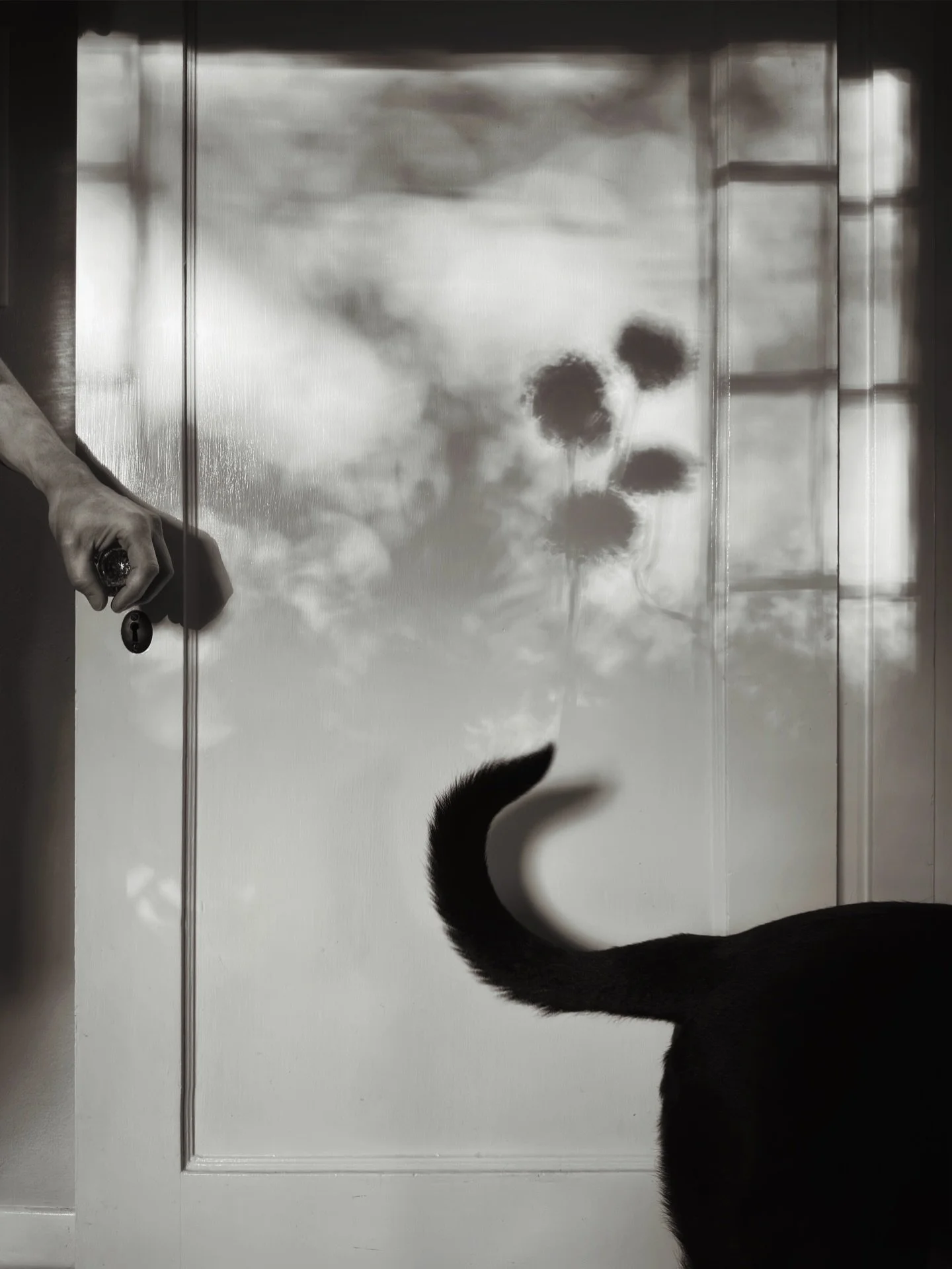 Man and dog, a tiny love story in one image. Remember Ernest Hemingway&rsquo;s six-word story? I guess you could say this is a 1/60th of a second story ha ha. I&rsquo;ve been photographing the afternoon light on this door since moving into my home fo