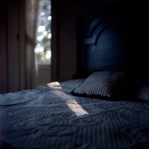 Want to make a lot of beautiful photographs together in 2026? Let&rsquo;s! Join me for Gathering Light, my year-long photography e-course. 

Here&rsquo;s the scoop: in Gathering Light, you get a new lesson every single week of the year. Imagine what 