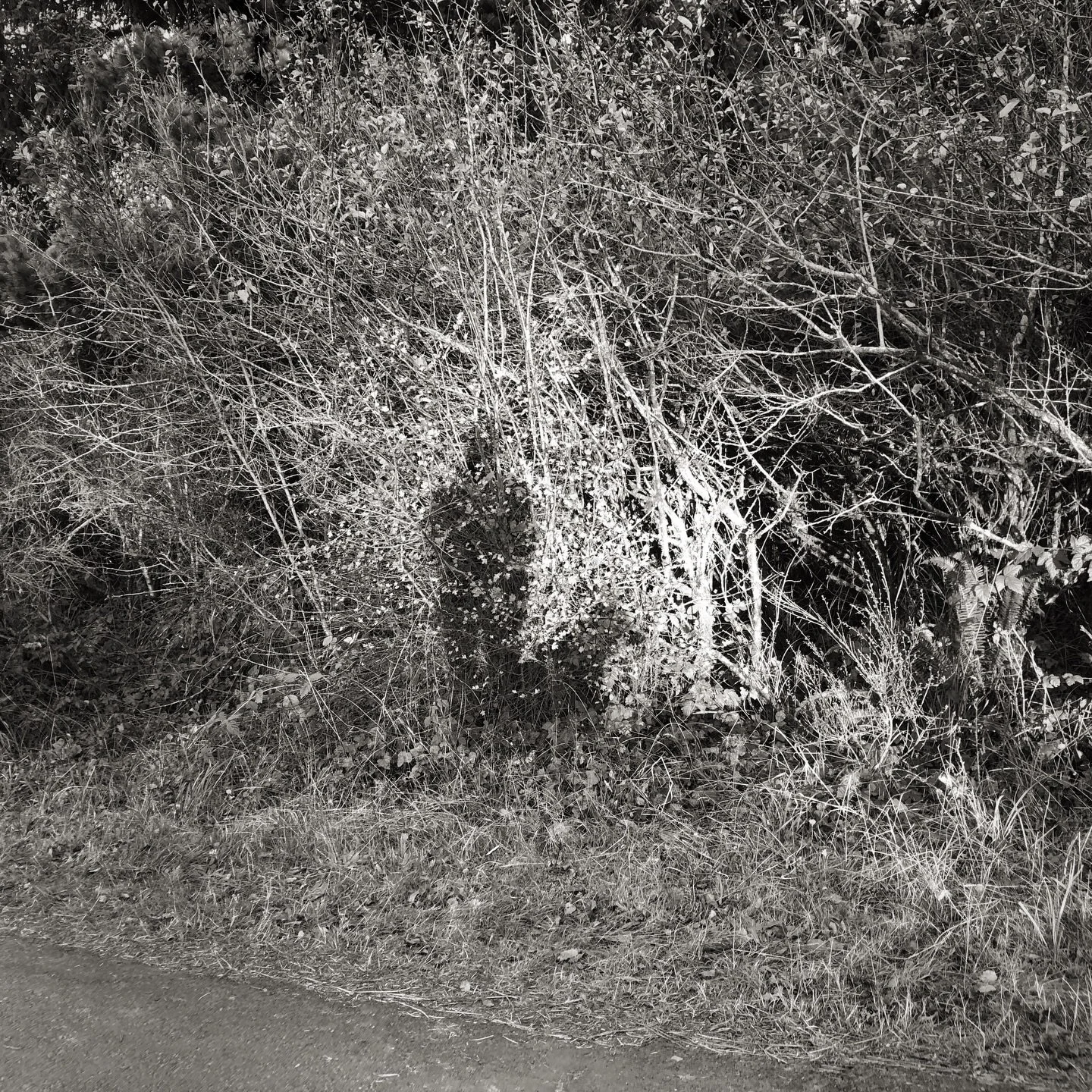 My most beloved photography e-course, Light Atlas: The Path to Inspired Seeing, is back! It happens just once a year and this is it (and there&rsquo;s a special early-bird price available for the next 24 hours). Light Atlas is a six-week e-course abo