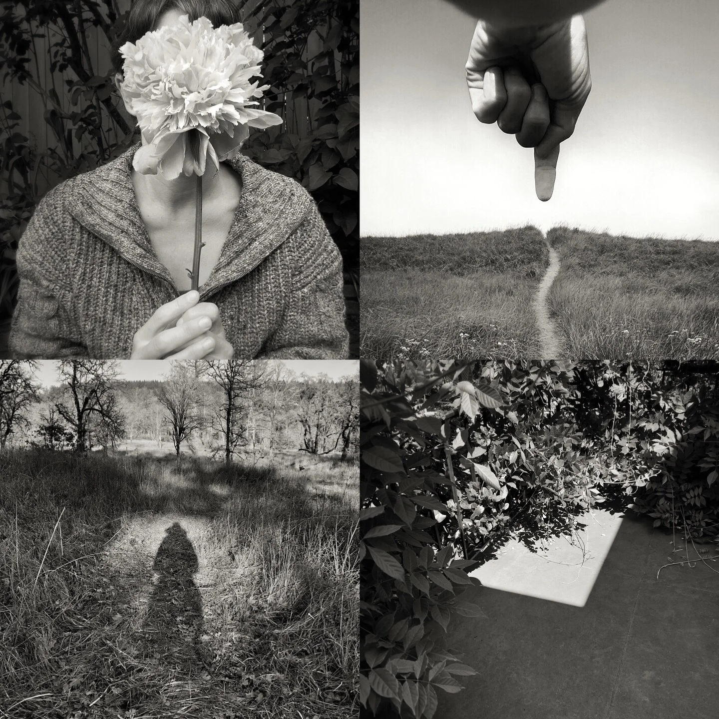 🎉 It&rsquo;s here! My year-long photography e-course begins today. If you&rsquo;d love to make a lot of gorgeous new images in 2026, join me! Gathering Light is a great fit for you if...

✨You want to build your creative confidence and clarify what 