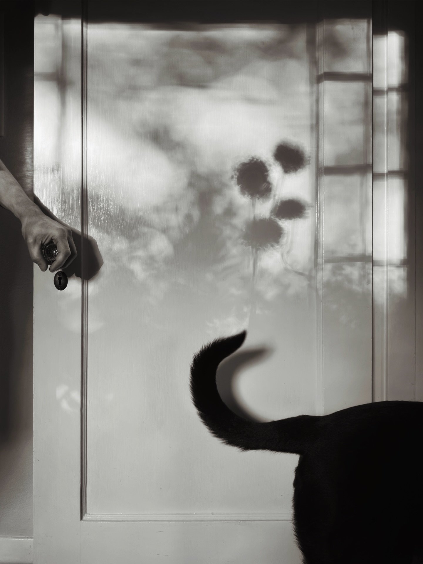 Man and dog, a tiny love story in one image. Remember Ernest Hemingway&rsquo;s six-word story? I guess you could say this is a 1/60th of a second story ha ha. I&rsquo;ve been photographing the afternoon light on this door since moving into my home fo